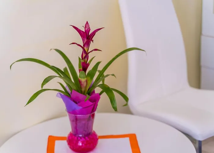 Lejlighed Katja & Lara - Double Lara Dubrovnik