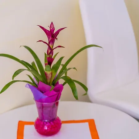 Apartment Katja & Lara - Double Lara Dubrovnik